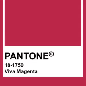 Alt text: A vibrant shade of purplish-pink known as Viva Magenta, the color of the year for the current year, is a bold and lively hue that conveys energy and creativity.